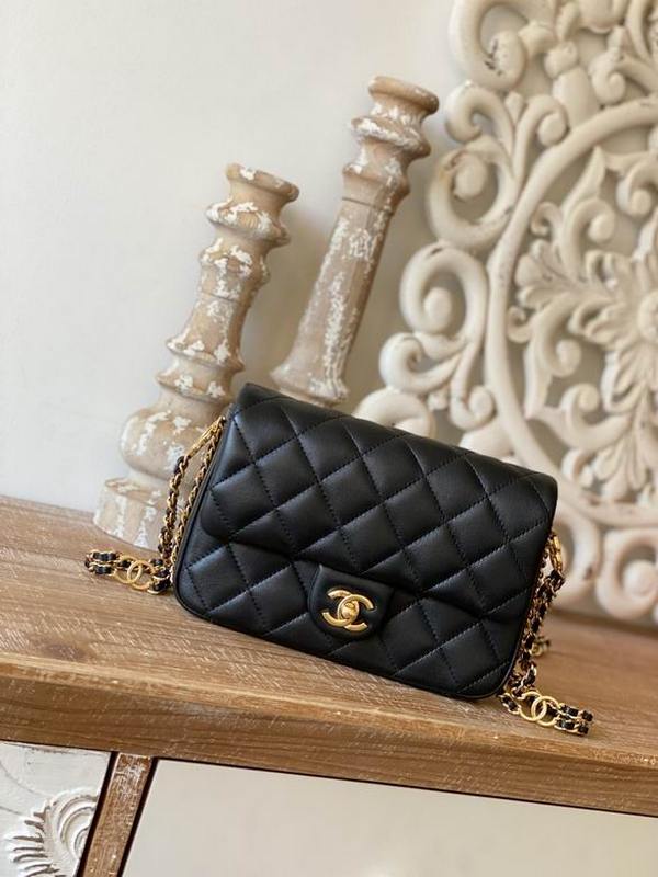 Chanel Handbags 231